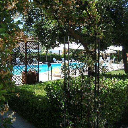 Hotel Apuana Marina di Pietrasanta Dış mekan fotoğraf